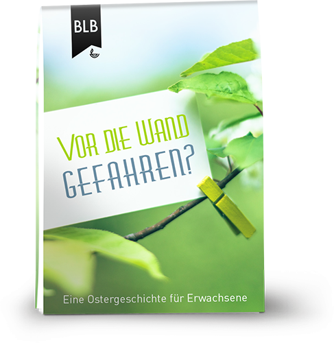 Vor die Wand gefahren