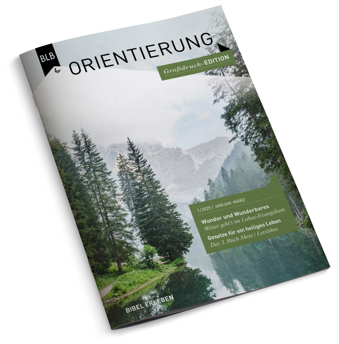 Orientierung Großdruck-EDITION 1/2025 Einzelheft