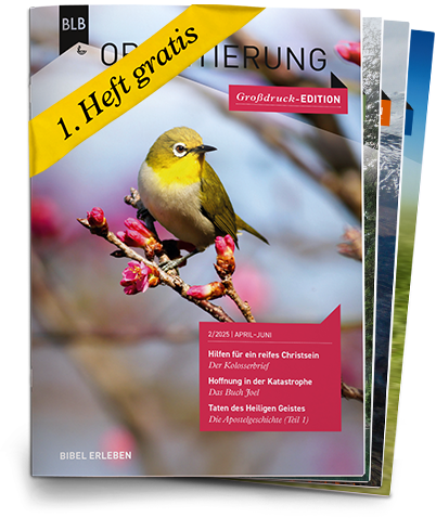 Orientierung Abo auf Probe