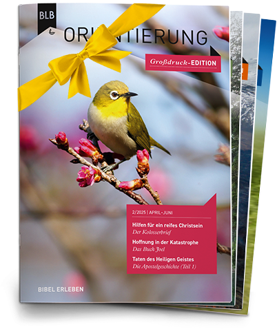 Orientierung Geschenk-Abo