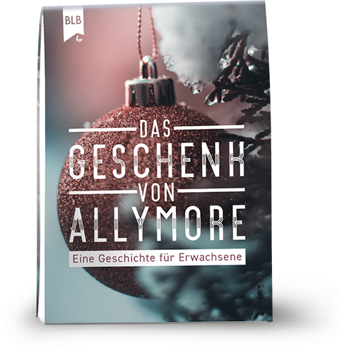 Das Geschenk von Allymore - Weihnachtsflyer für Erwachsene
