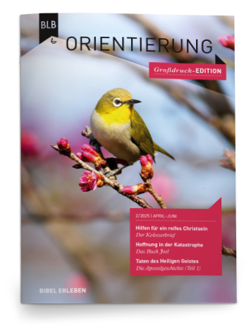 Orientierung Großdruck-EDITION 2/2025 Einzelheft