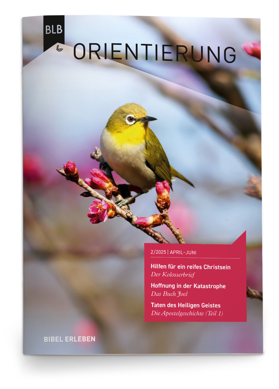 Orientierung 2/2025 Einzelheft